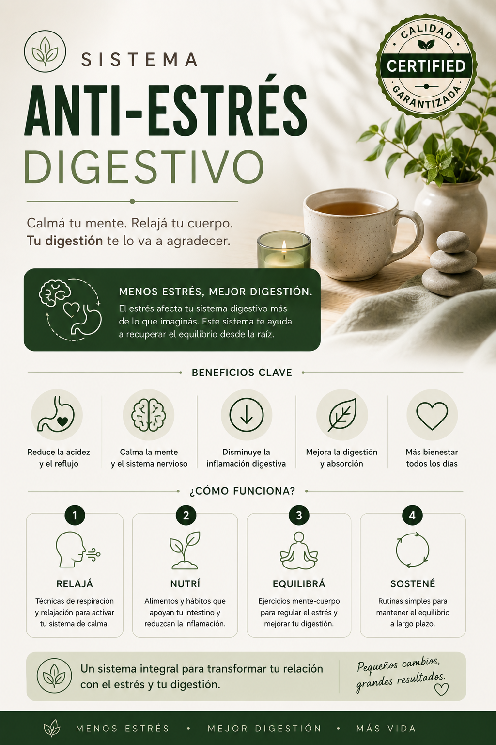 SISTEMA ANTI-ESTRES DIGESTIVO